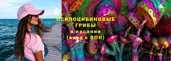 mdpv Новодвинск