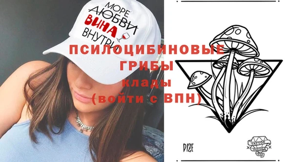 мдпв Волосово